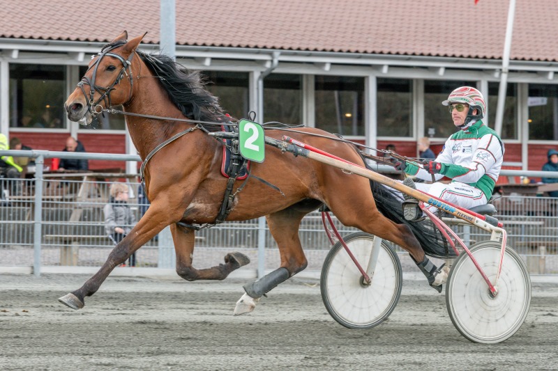 Endnu en hest solgt til Lundens travskole