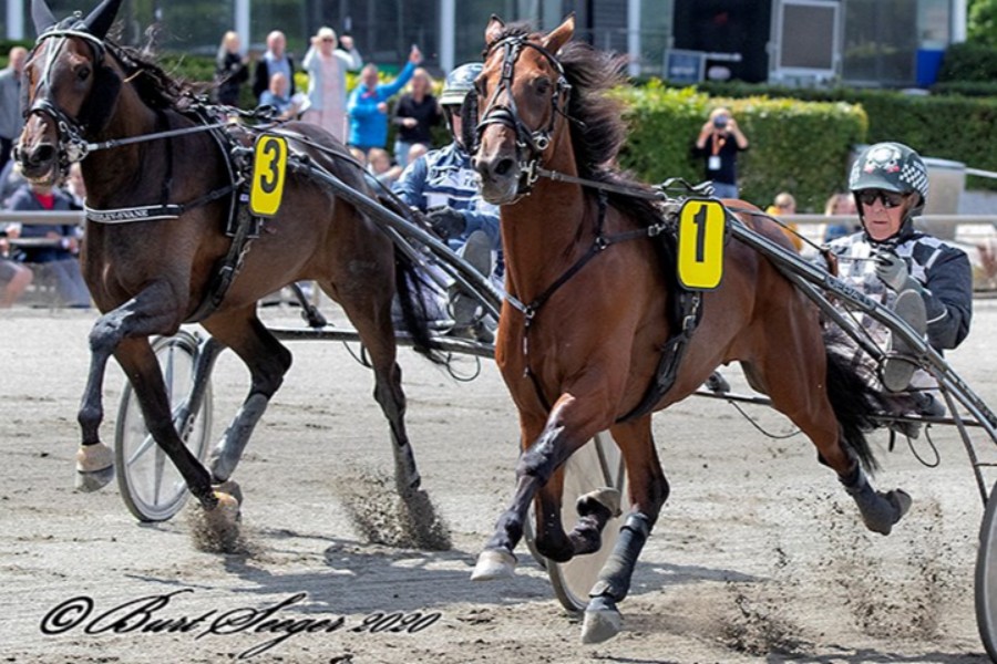 Flot debut for afkom fra Stutteri Ice