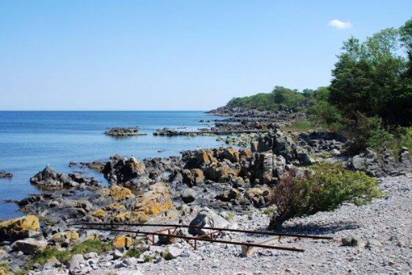 En ny forening vil v�rne om Saltunakysten