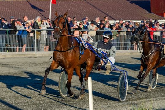 Sejrshest forlader Bornholm og ny hest k�bt til �en