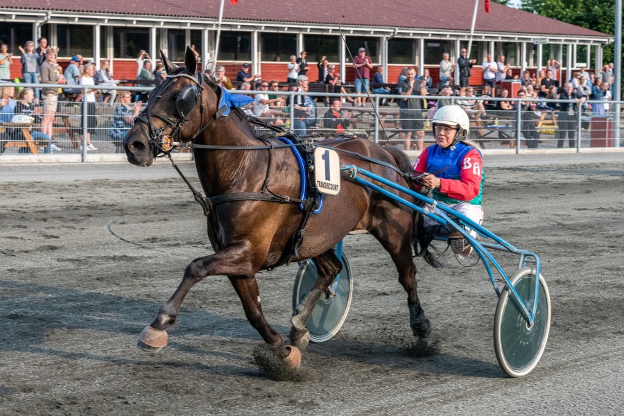 Storl�bsvinder blev for�ret v�k som unghest