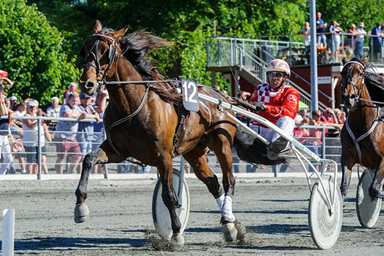Tidligere sejrshest var ikke tr�t da den galoperede forleden