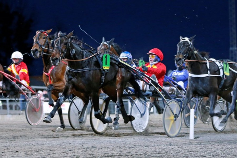 Bornholmers opdr�t vandt 1,2 mio. skr.