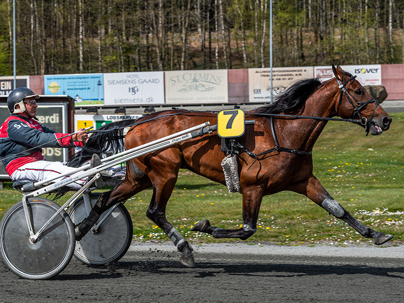 Ingen  forklaring til svigt for mesterskabsfavorit