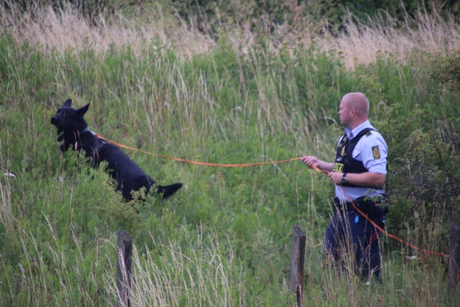 Politihund fandt h�rv�rksm�nd