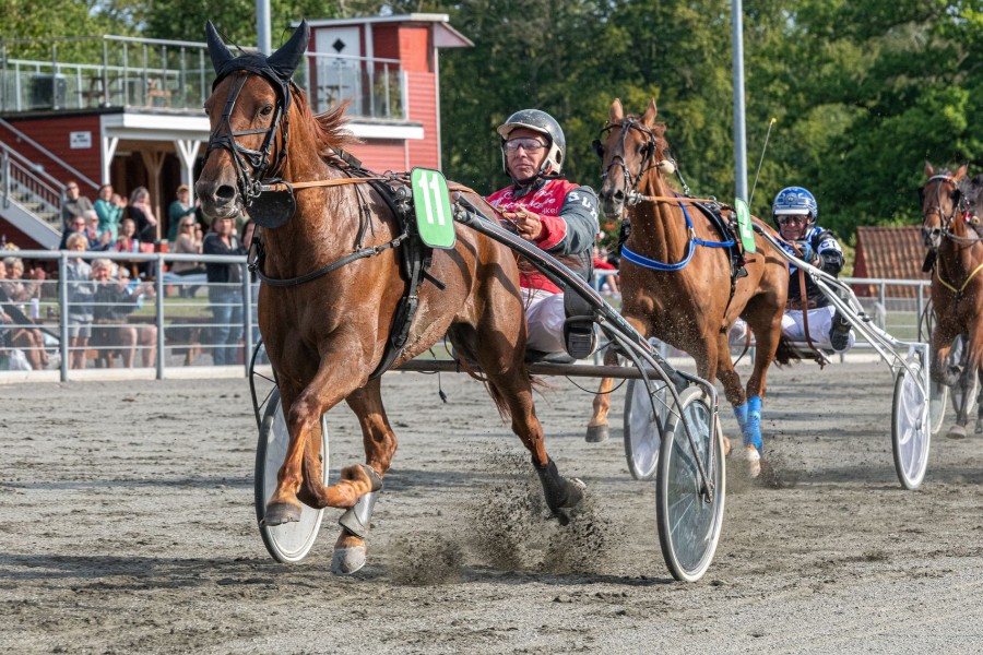 Lind-Holms magel�s sejrsprocent p� travbanen