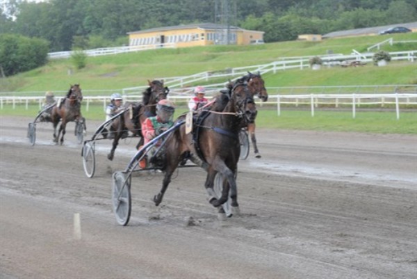 Bornholmers travhest vandt 121.500 kr.