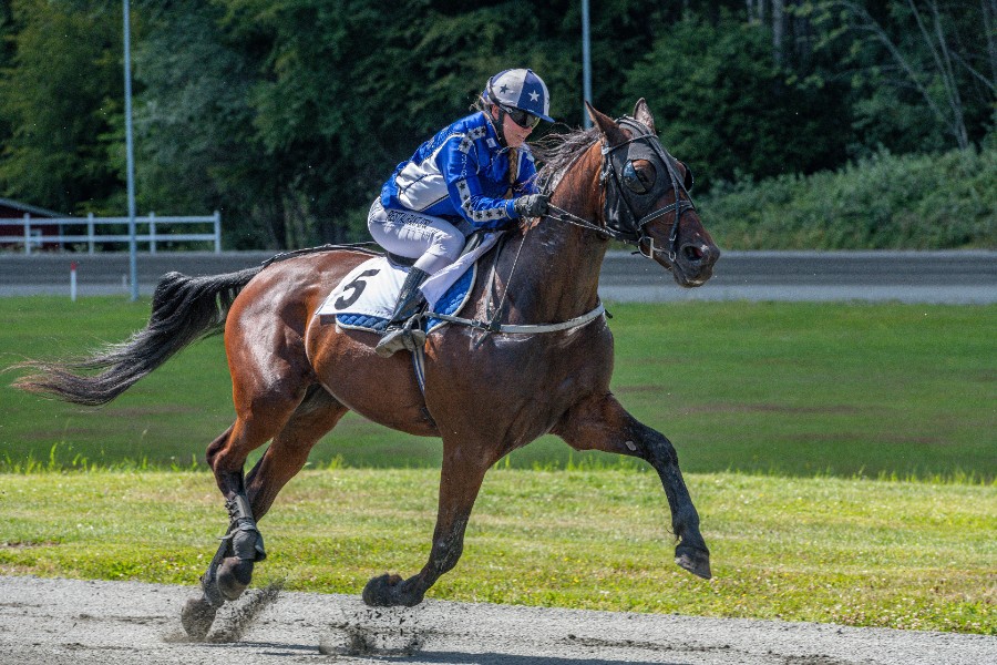 Winnie Jensen ny i travtoppen