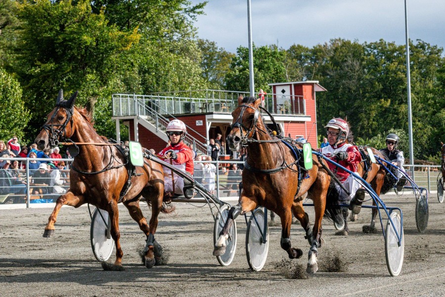 Stefan Lind-Holm sadler om p� travbanen