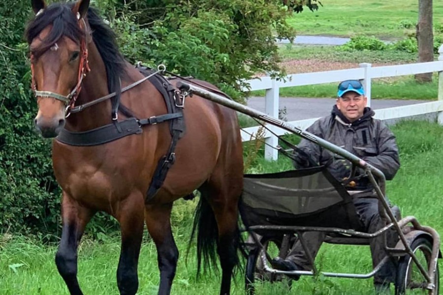 Travtræner på studietur til Nordjylland
