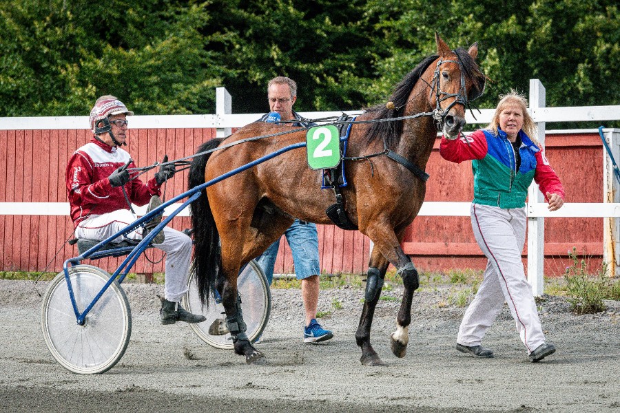 200 kr. adskiller de to f�rende tr�ningsstalde