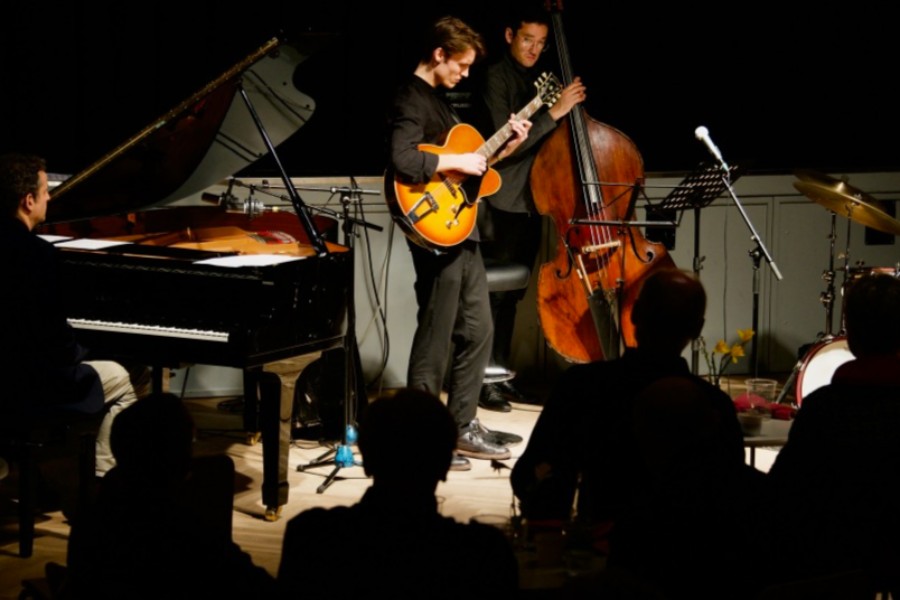 Uvished om kompensation til Svanekegaarden