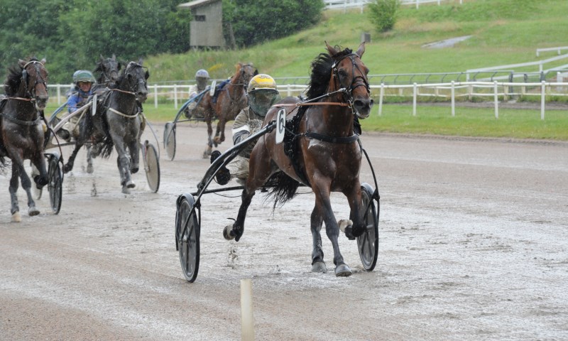 Bornholmer fik unghest til stor finale