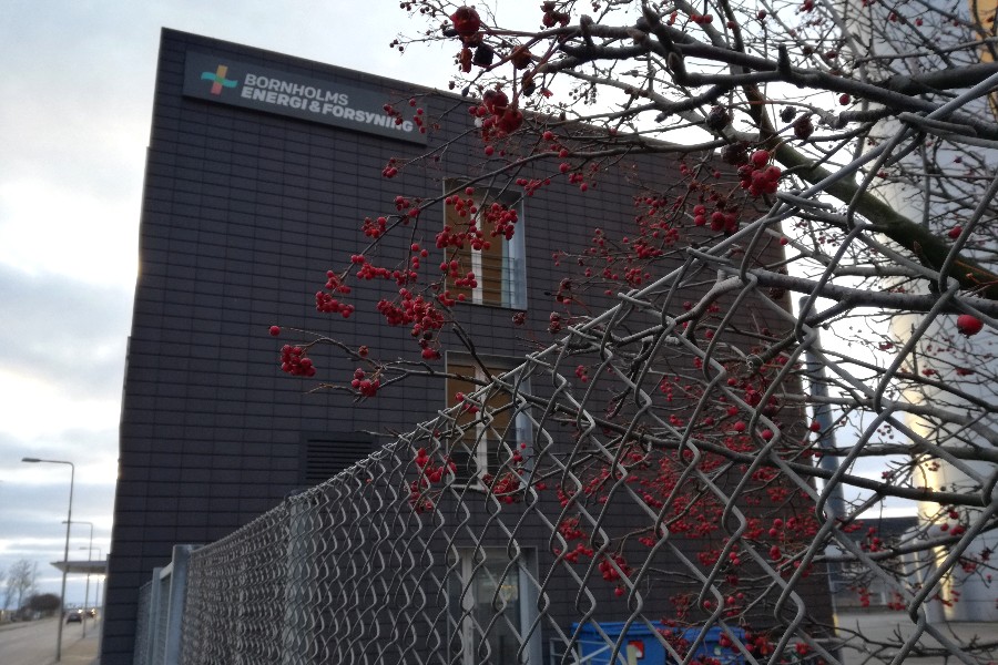 Forsyningen giver topchefer store gager