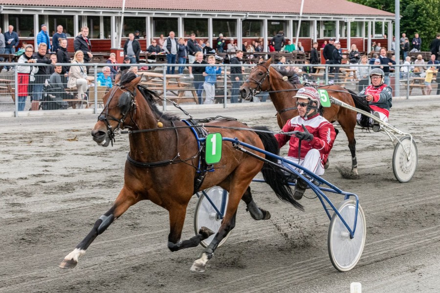 Tophest besejret i Golden League