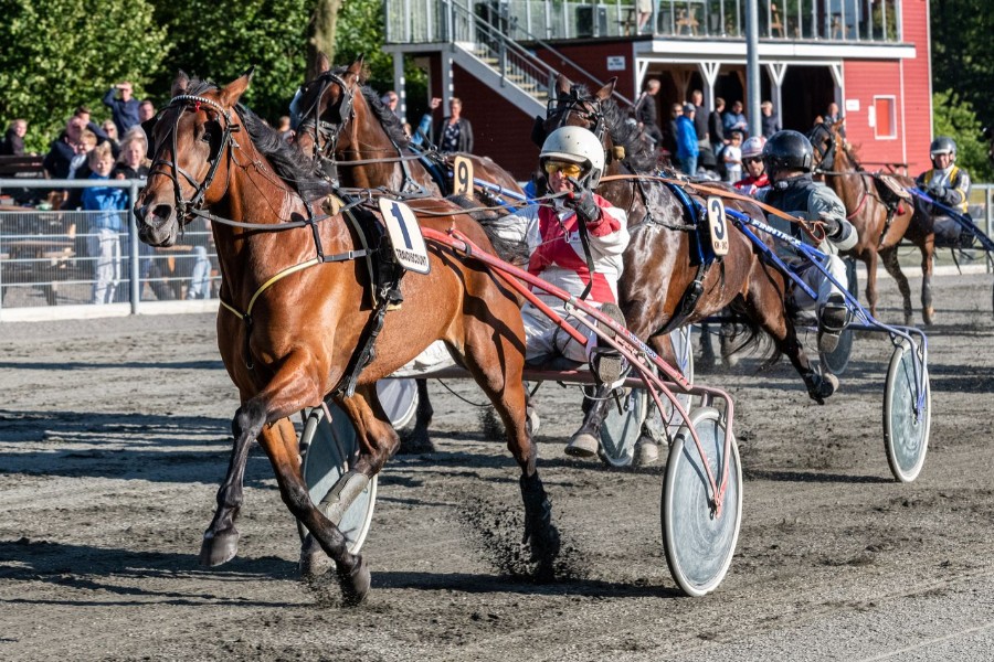 Sikke en dag for familien Steinlein