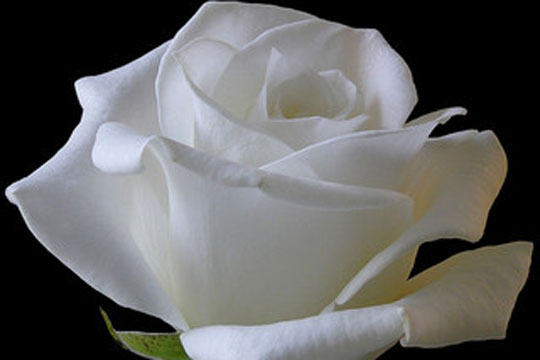 Mindeord for Leif Nielsen