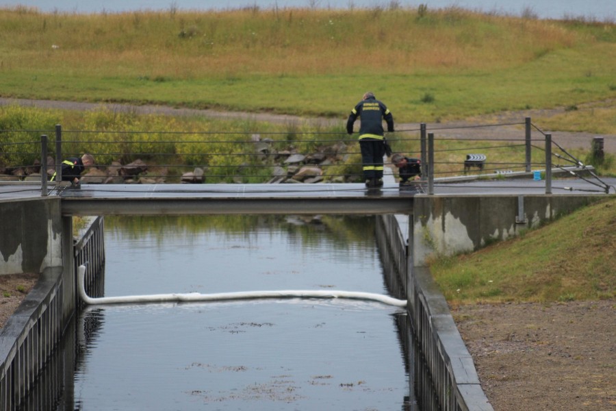 Olieforurening i Hasle Havn