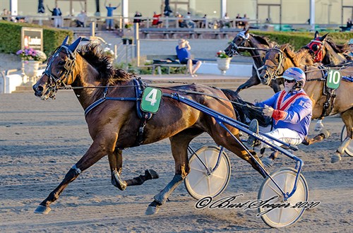 Bornholmsk veteran til tops i hovedstaden