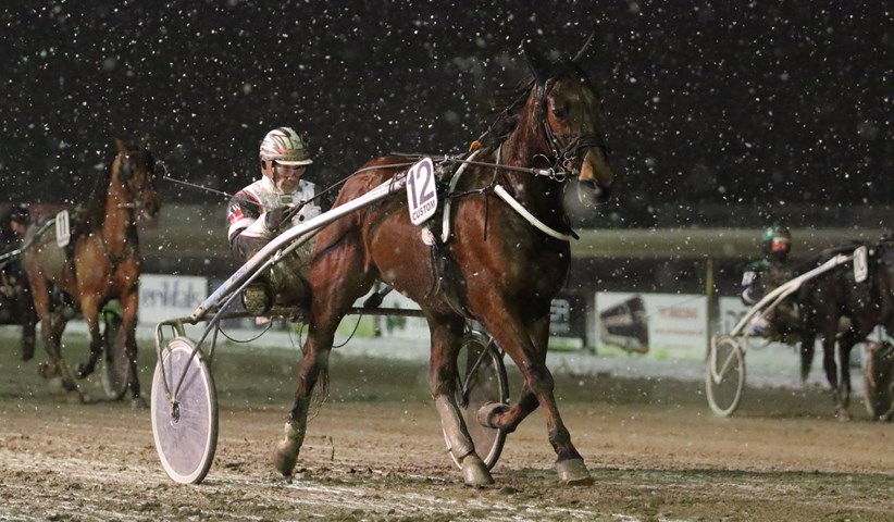 Bornholmeropdr�t til tops i G�teborg