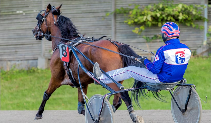 Begr�nset bornholmsk succes i Lunden