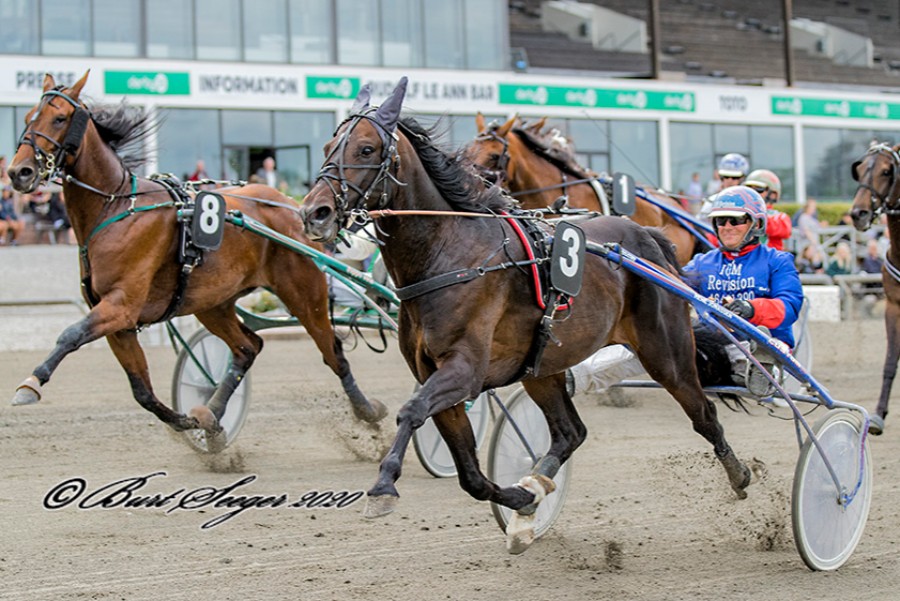 Bornholmers travhest forts�tter med at imponere