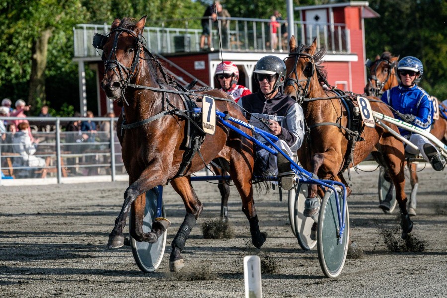 Dobbelt storl�bsvinder meldt til l�b i Sverige