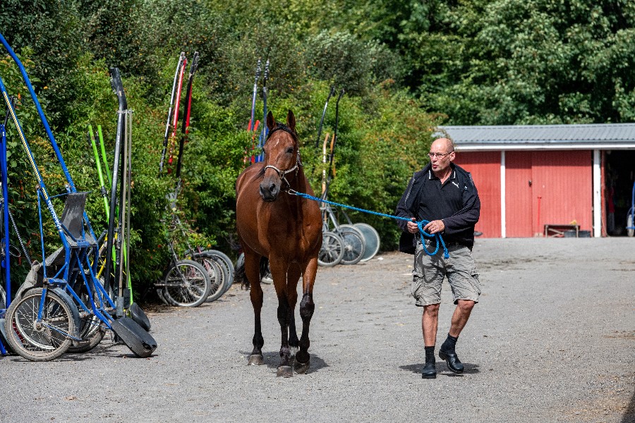 Historisk travsportsdag p� Bornholm p� l�rdag