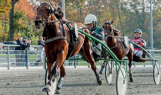 Sejrshoppe skal v�re mor for tredje gang