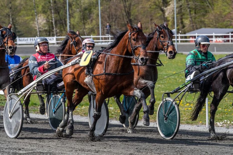 Derbyvinderen tr�ner atter som den skal