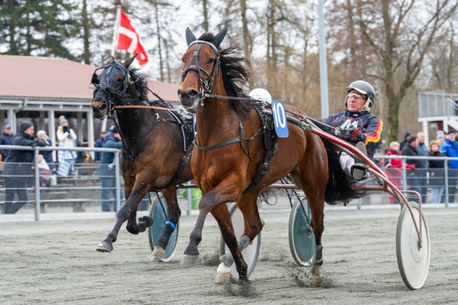 Bornholms travelite skal ud i 12 l�b