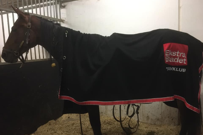 Topchance til delvis bornholmsejet travhest