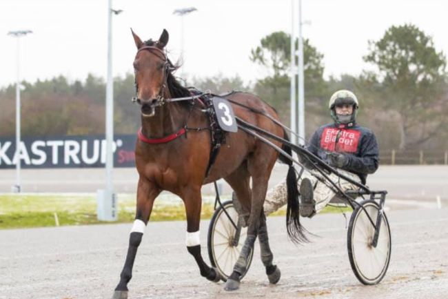 Ung bornholmers gennembrud i travsporten