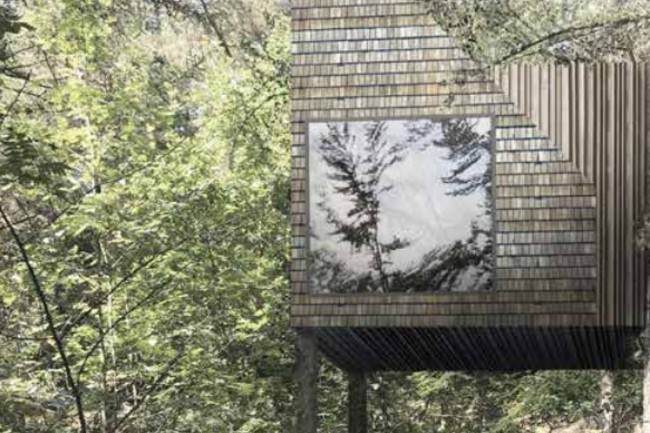 Behandler plan for tr�tophytter 