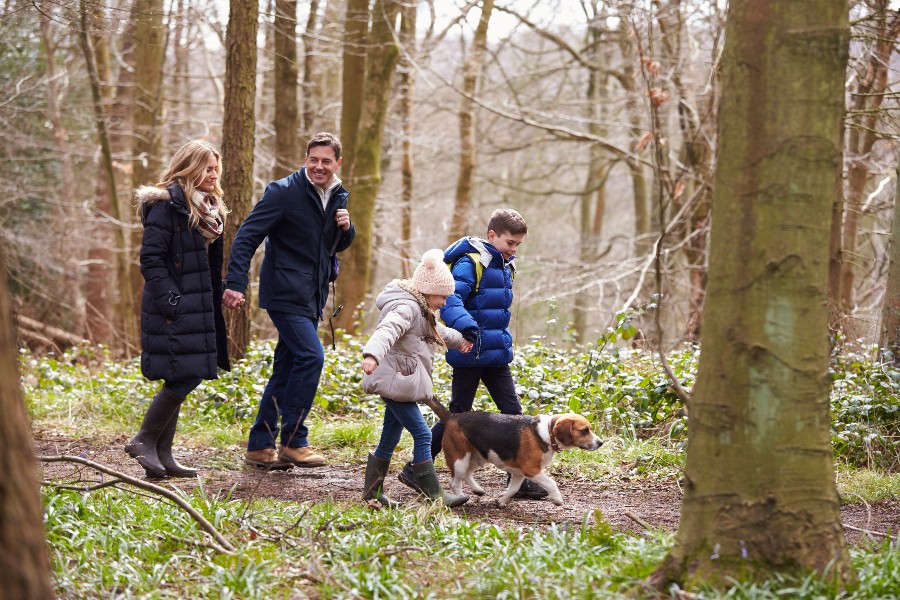 Ekstra mange bes�gte naturguide p� nettet