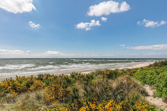 Kommunen vil s�lge attraktivt omr�de