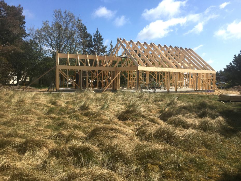 Tr� kan erstatte meget beton