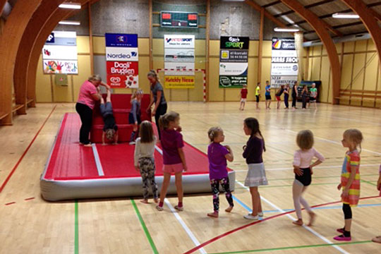 Idr�tten har brug for flere faciliteter