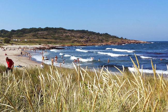 Sanselig udforskning af Sandvig