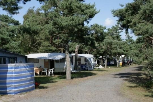 Covid-19 gav stor v�kst hos Dueodde Camping
