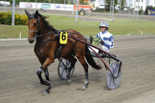 Sempre Avanti positiv sjette i Sverige