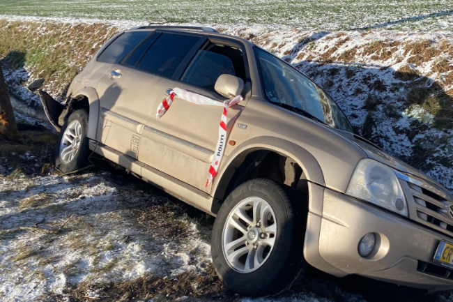 Hund forsvandt efter trafikuheld, er fundet