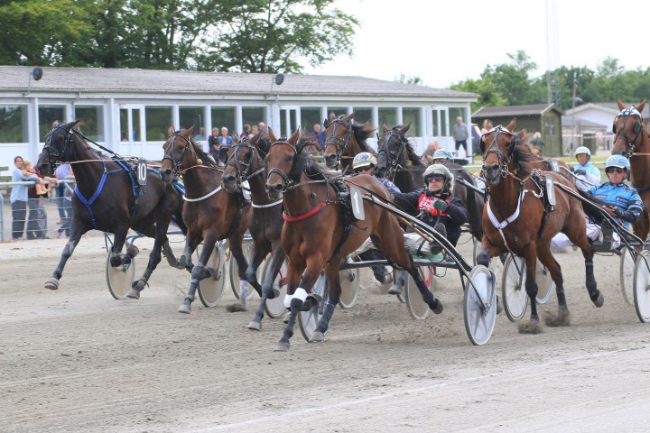 Tredjeplads til delvis bornholmskejet hest
