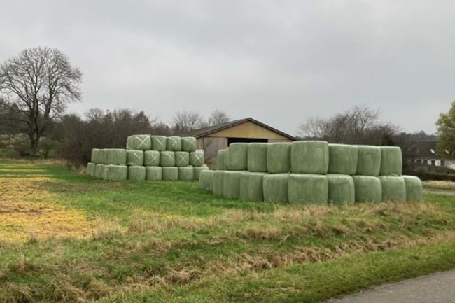 Bornholm forrest i indsats mod plastik