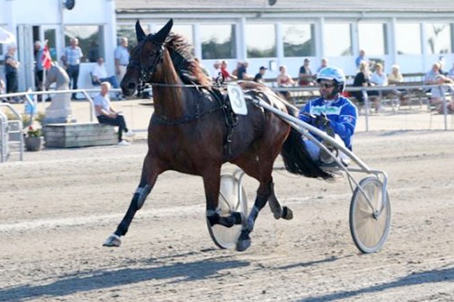 Top3 chance til Fiona Ice i Aalborg