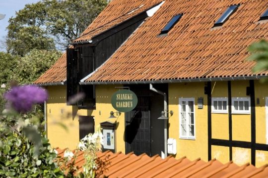 Grafisk udstilling i Svaneke