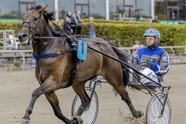 K�mpe bornholmsk triumf i Sverige