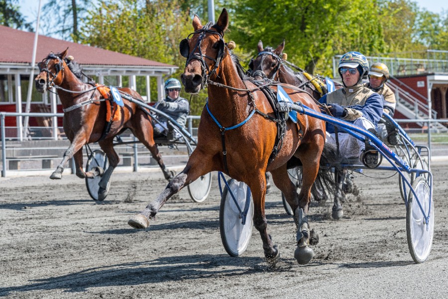 Bornholmer med to Top3 chancer i hovedstaden