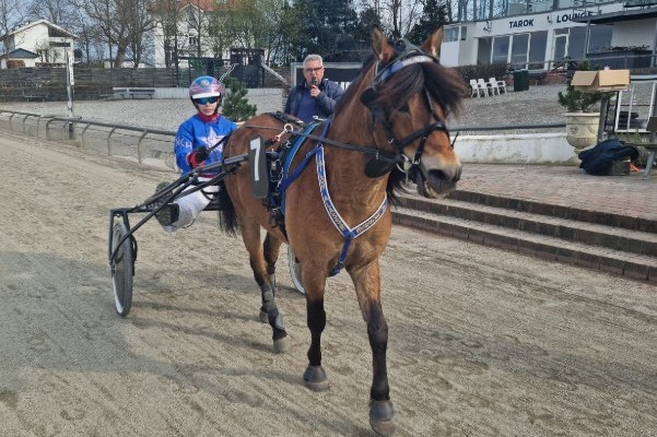 Sulkytalenter mod nye sejre i hovedstaden