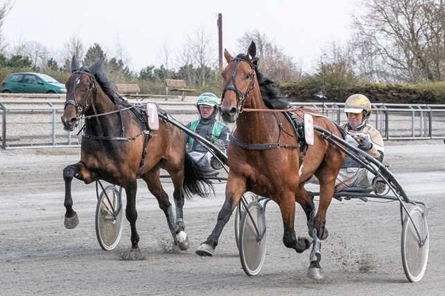 Ny opdr�ttersejr til Stutteri Ice